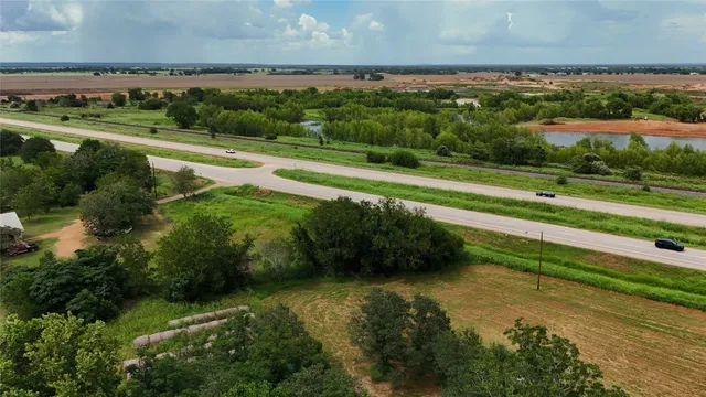a view of a lush green forest