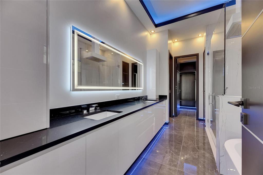 6528 Simone Shores Circle Apollo Beach, FL 33572 - Photo 45 of 98