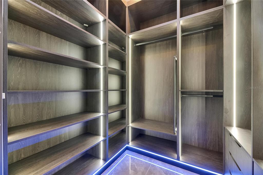 6528 Simone Shores Circle Apollo Beach, FL 33572 - Photo 50 of 98 a view of walk in closet with empty racks