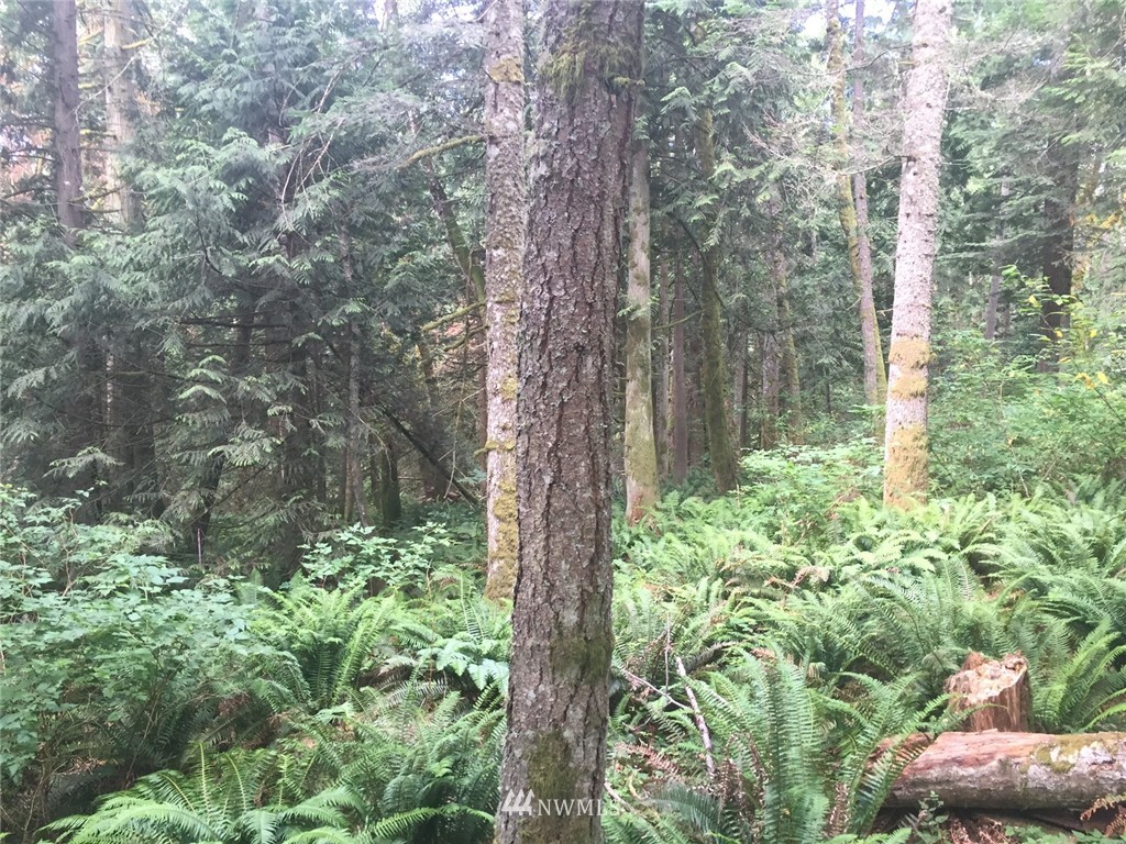 1963 Academy Road Bellingham, WA 98226 - Photo 2 of 10 Gallery Image 2