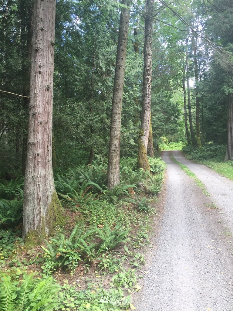 1963 Academy Road Bellingham, WA 98226 - Photo 3 of 10 Gallery Image 3