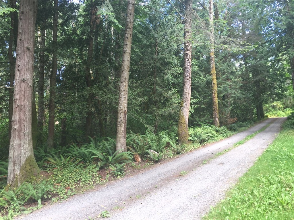 1963 Academy Road Bellingham, WA 98226 - Photo 4 of 10 Gallery Image 4