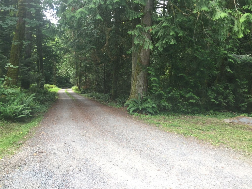 1963 Academy Road Bellingham, WA 98226 - Photo 5 of 10 Gallery Image 5