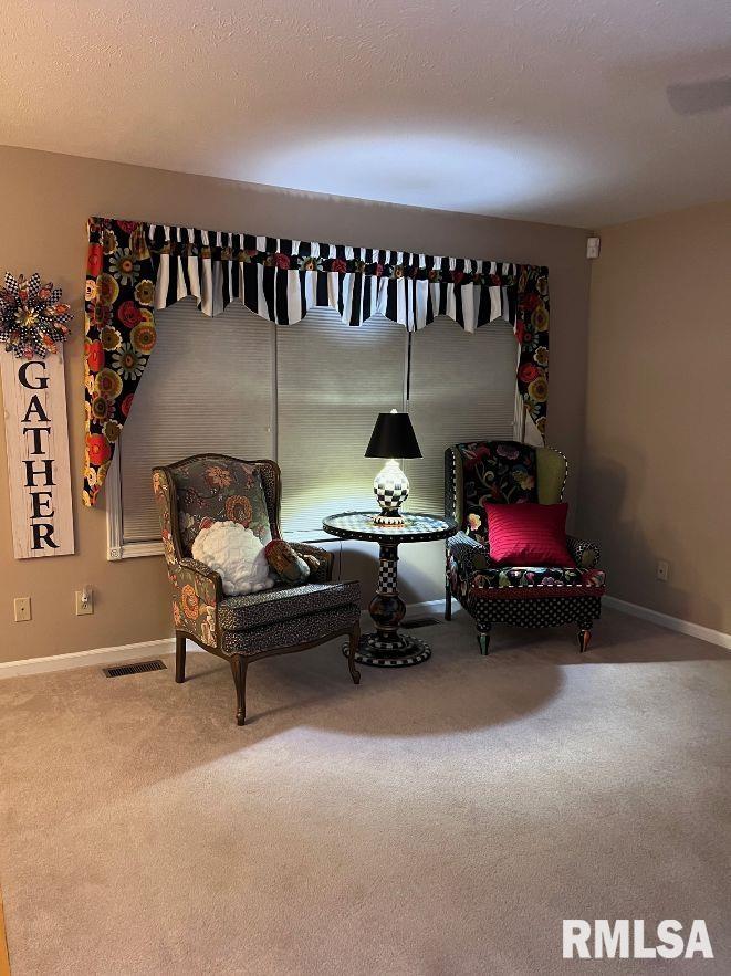 4664 Svenson Drive Springfield, IL 62711 - Photo 19 of 32