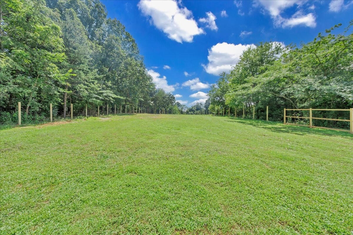 6638 Stewartsville Road Moneta, VA 24121 - Photo 21 of 27 a view of a green field with a tree in the background
