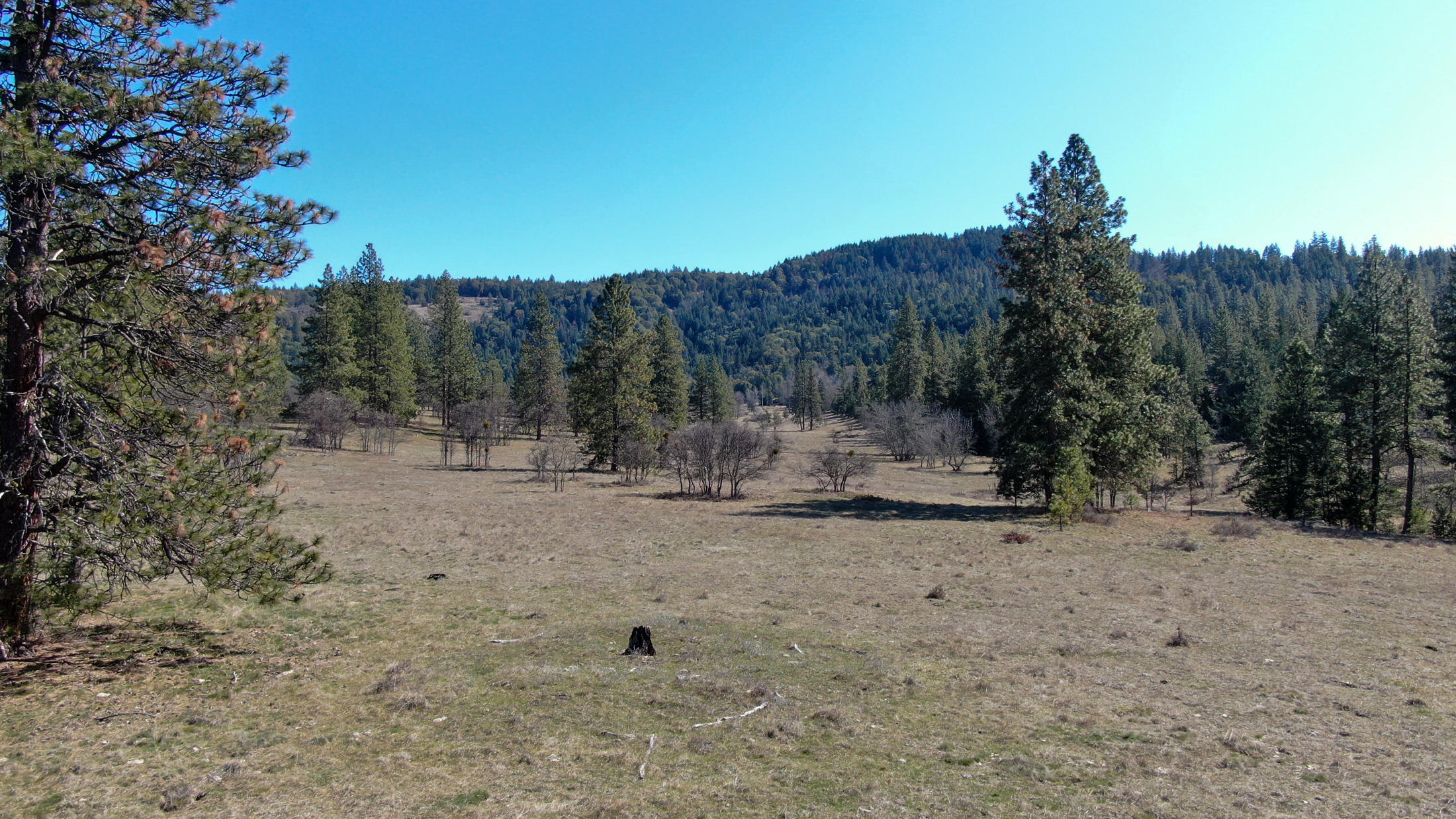 Hillcrest Road Southeast Medford, OR 97504 - Photo 5 of 8 DJI_0370