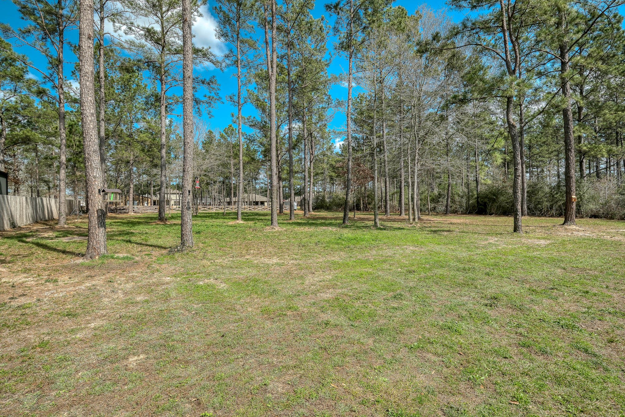 16747 Rockwall Street Conroe, TX 77303 - Photo 40 of 50 a view of a park with large trees