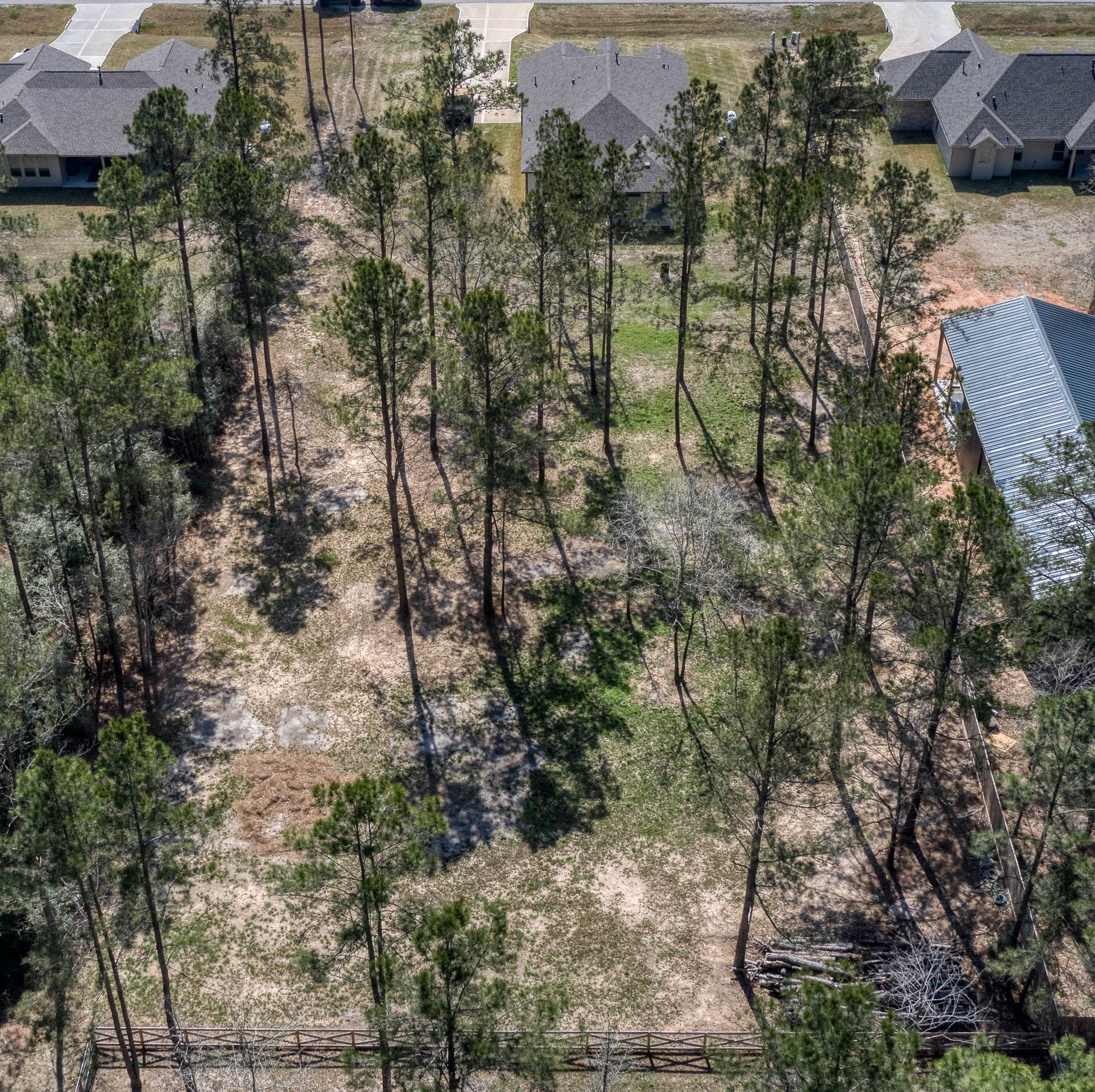 16747 Rockwall Street Conroe, TX 77303 - Photo 49 of 50 a view of a yard with plants and trees