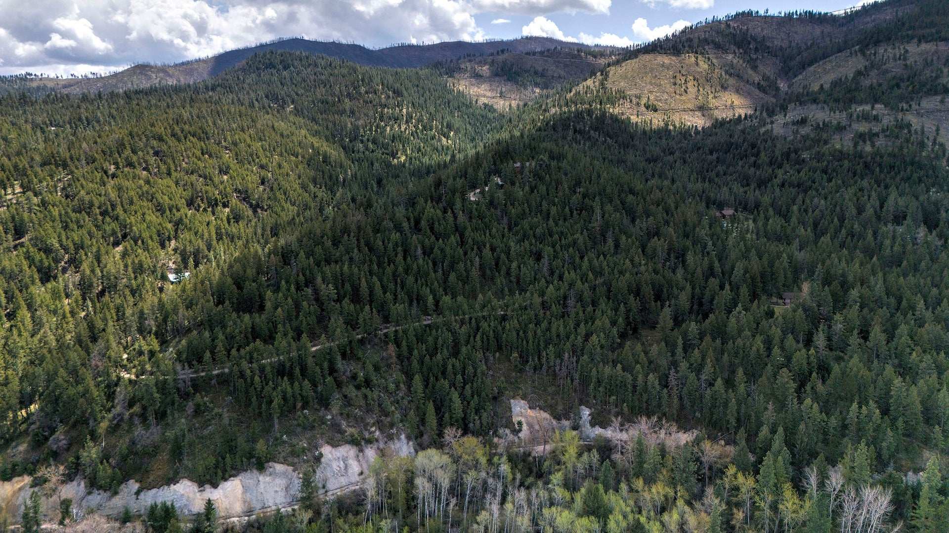 13275 Balsam Root Road Lolo, MT 59847 - Photo 26 of 36 Gallery Image 26