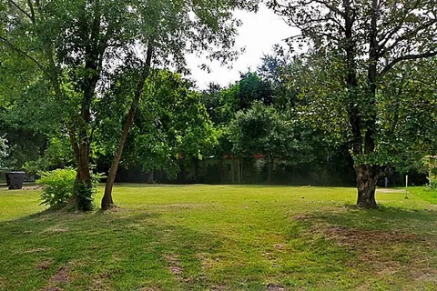 a view of a trees in a park
