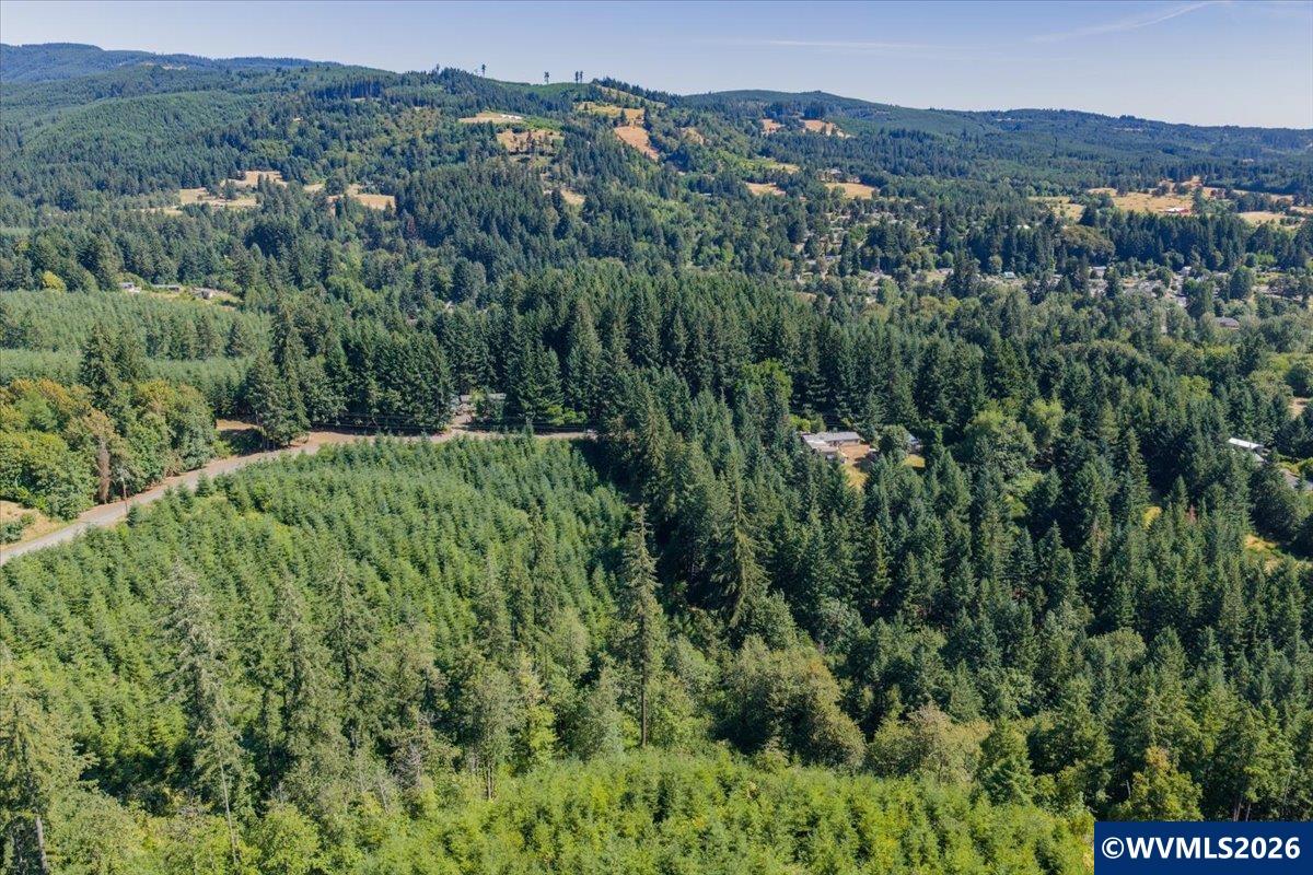 432 Chamberlain Road Falls City, OR 97344 - Photo 11 of 26