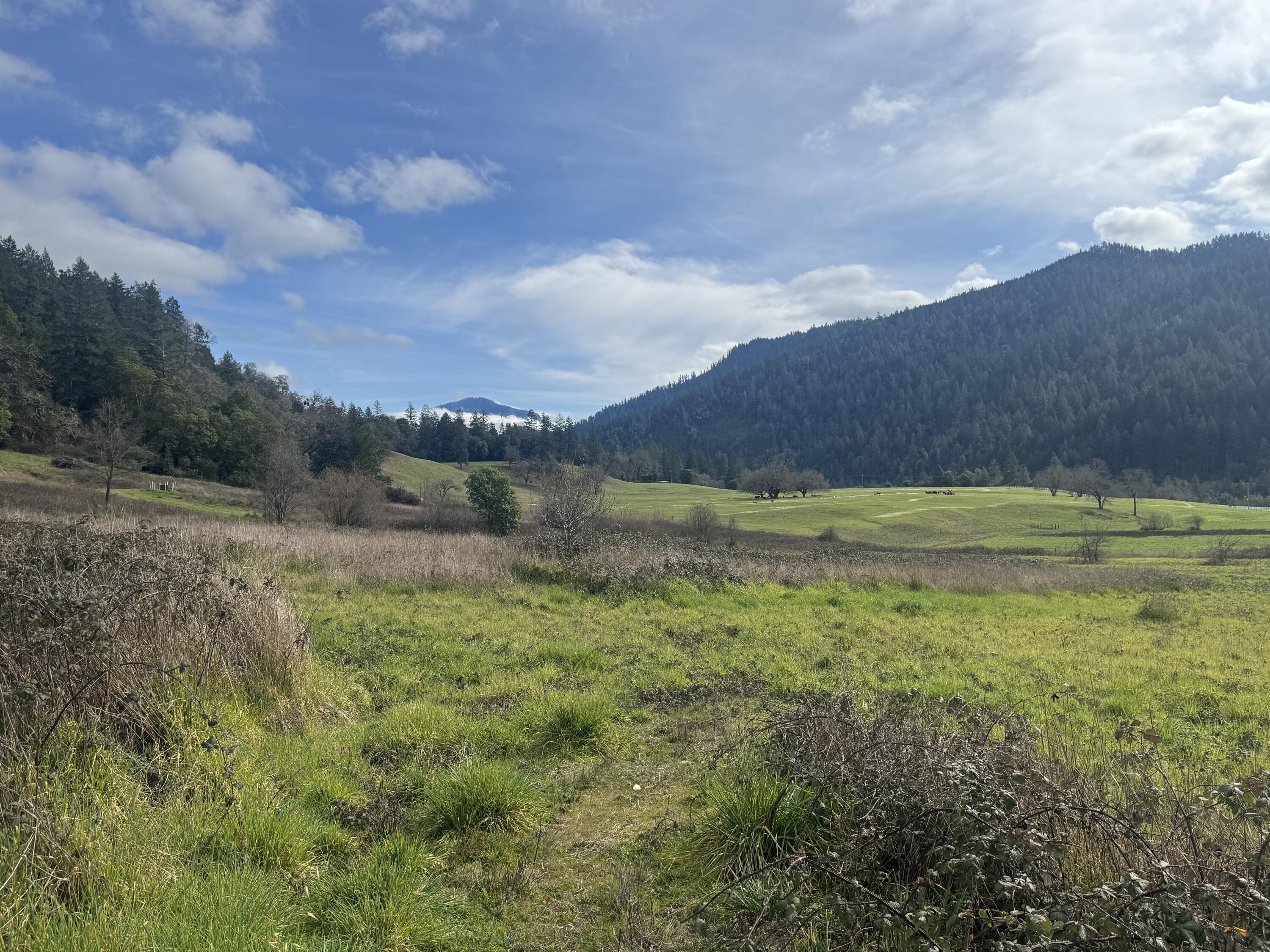 184 Cherry Tree Lane Salyer, CA 95563 - Photo 15 of 21 IMG_0128