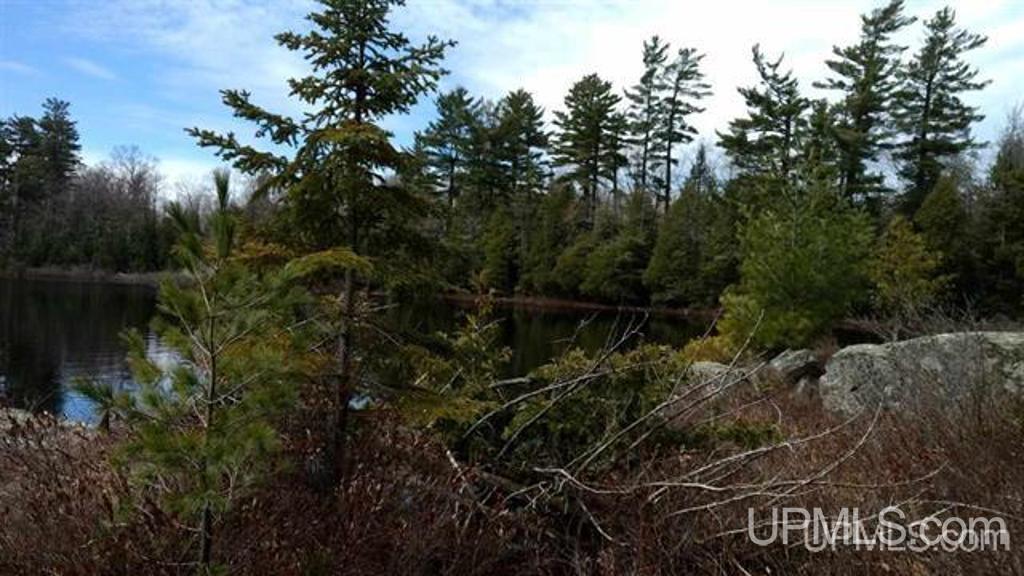 Tbd Tbd Durchman Lake Road Lanse, MI 49946 - Photo 25 of 56