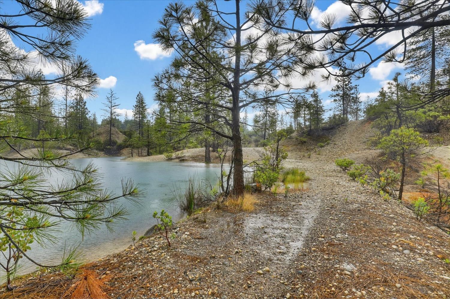 13751 Sailor Flat Road Nevada City, CA 95959 - Photo 41 of 49