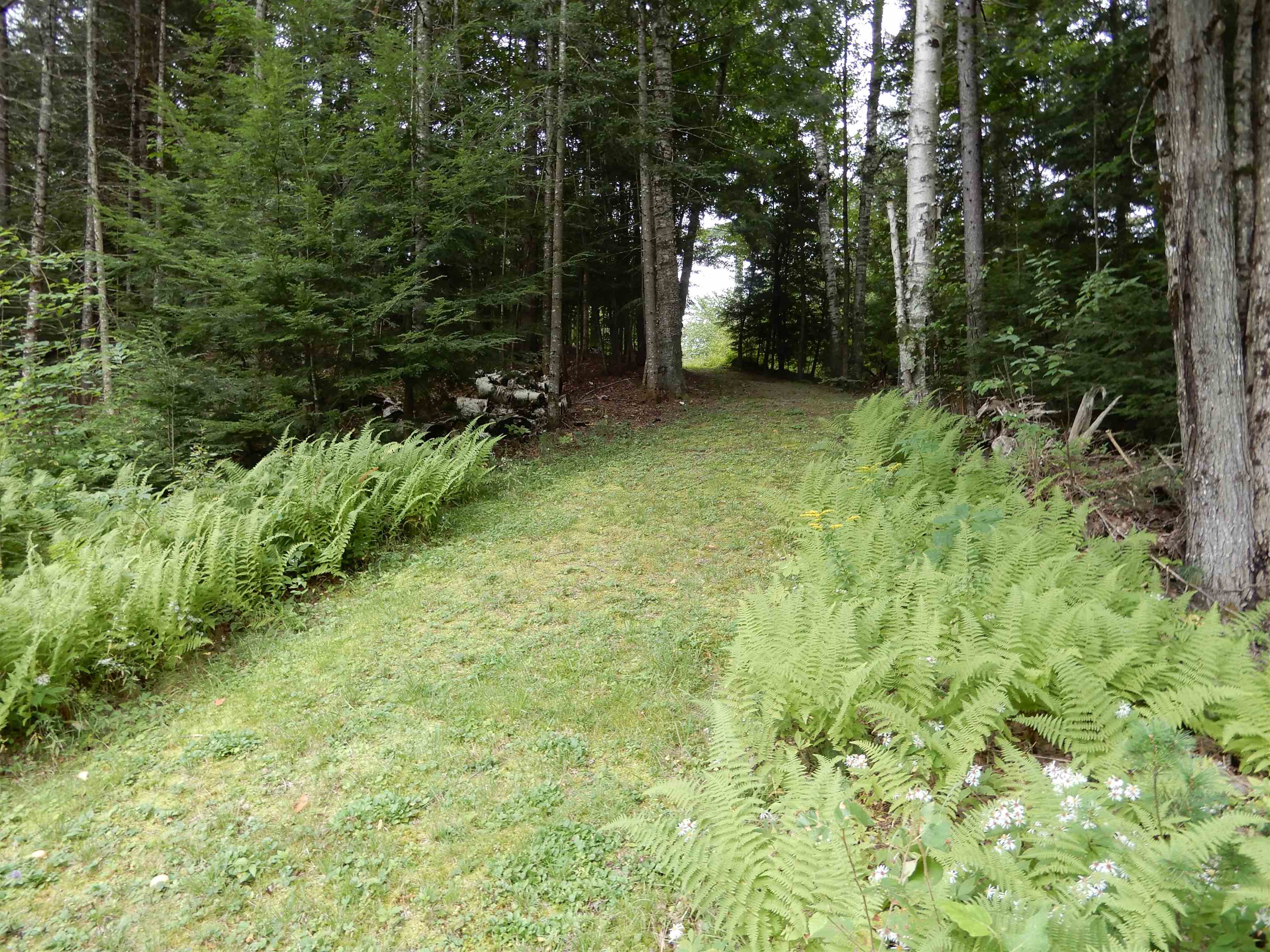 288 Tucker Road Grafton, NH 03240 - Photo 12 of 31