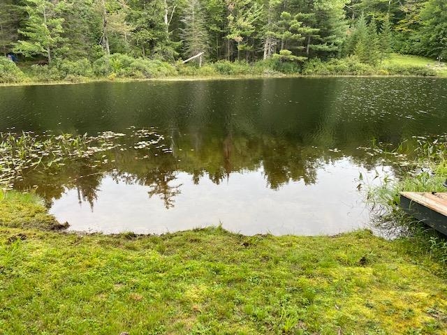 288 Tucker Road Grafton, NH 03240 - Photo 3 of 31