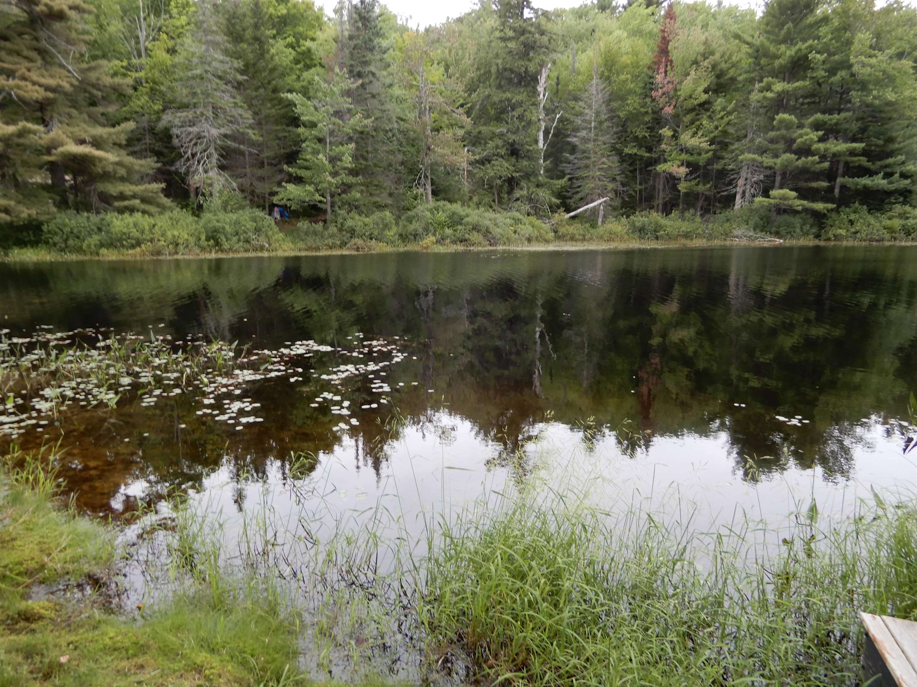 288 Tucker Road Grafton, NH 03240 - Photo 23 of 31