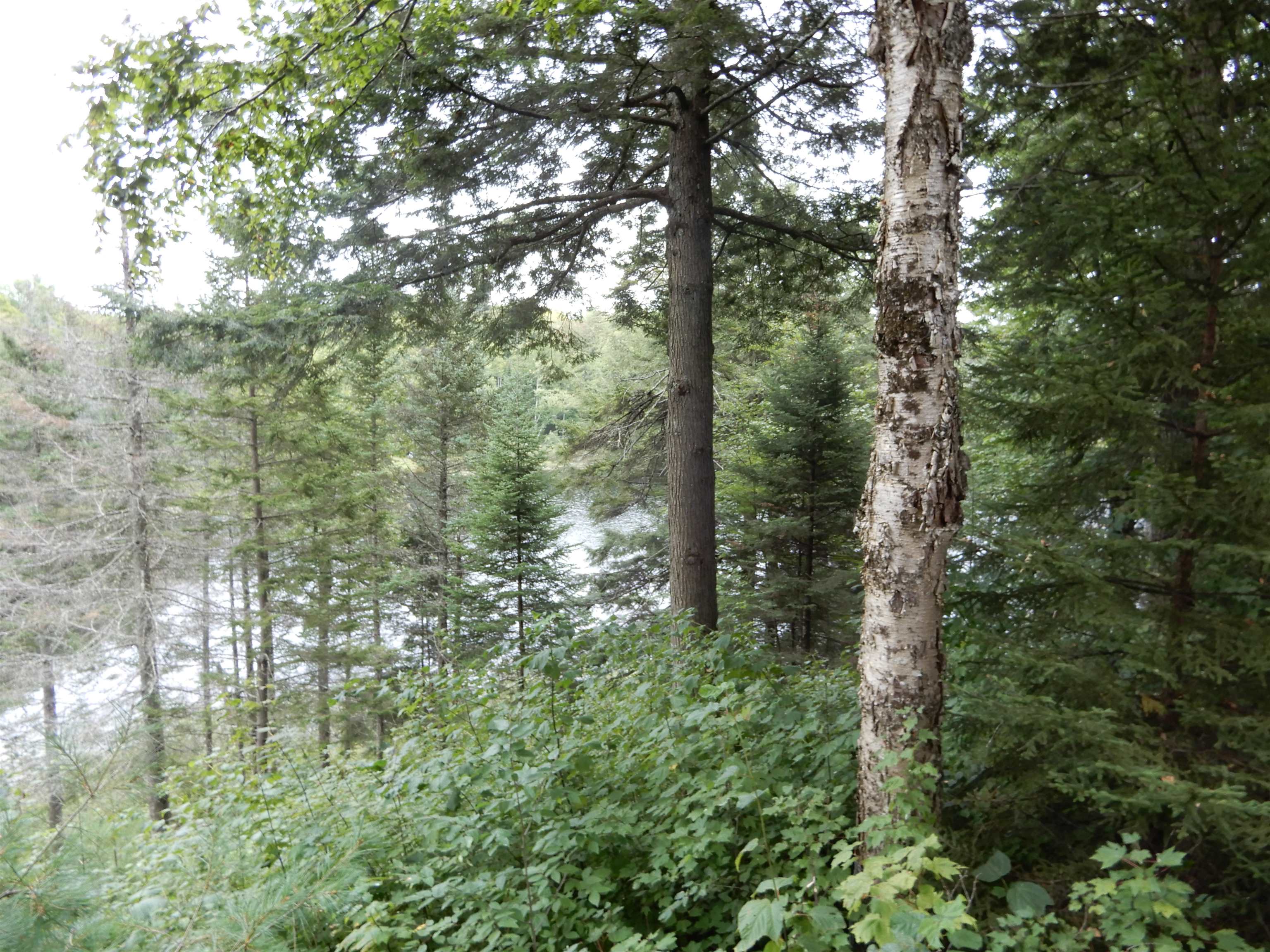 288 Tucker Road Grafton, NH 03240 - Photo 27 of 31