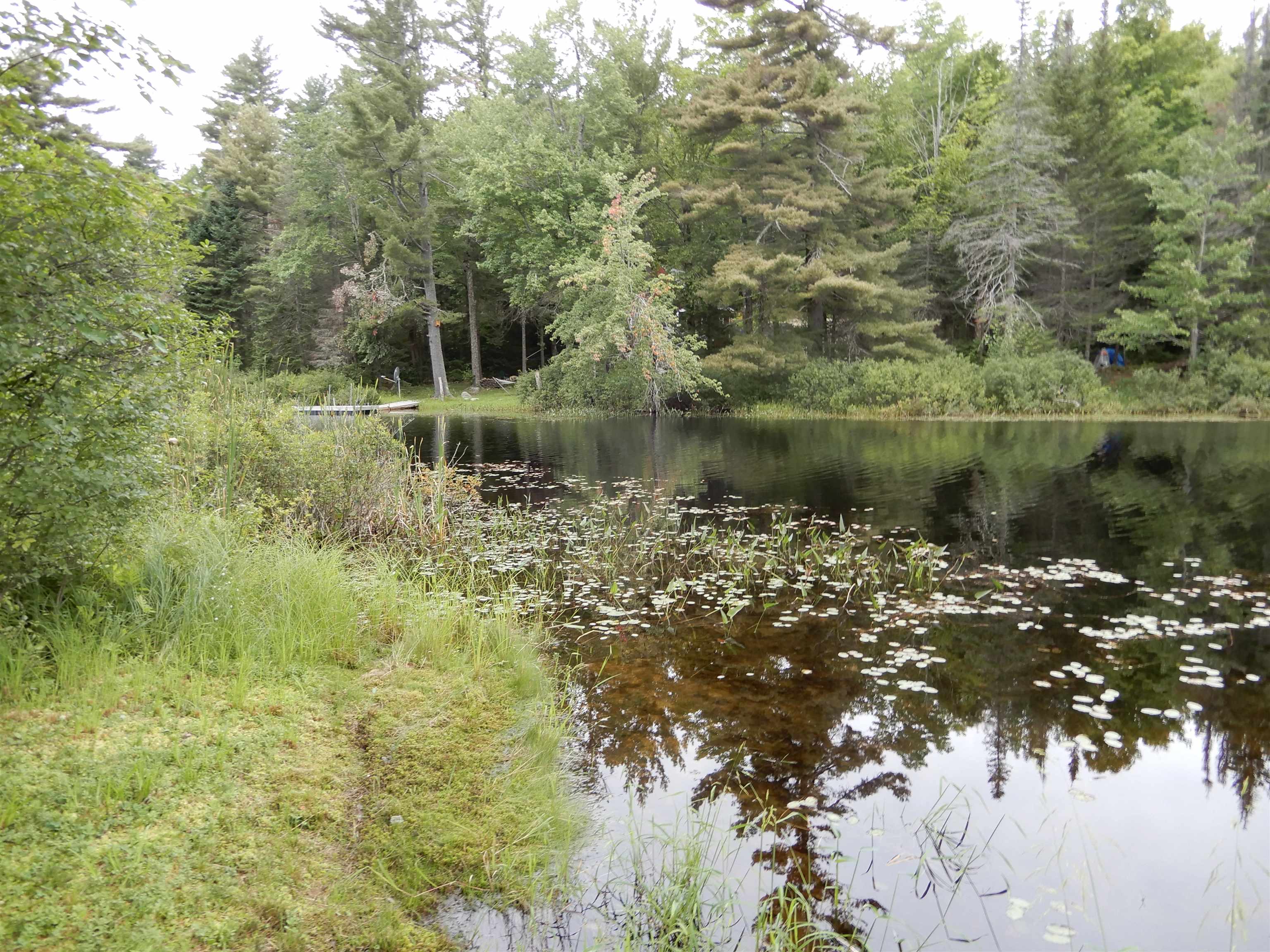 288 Tucker Road Grafton, NH 03240 - Photo 6 of 31