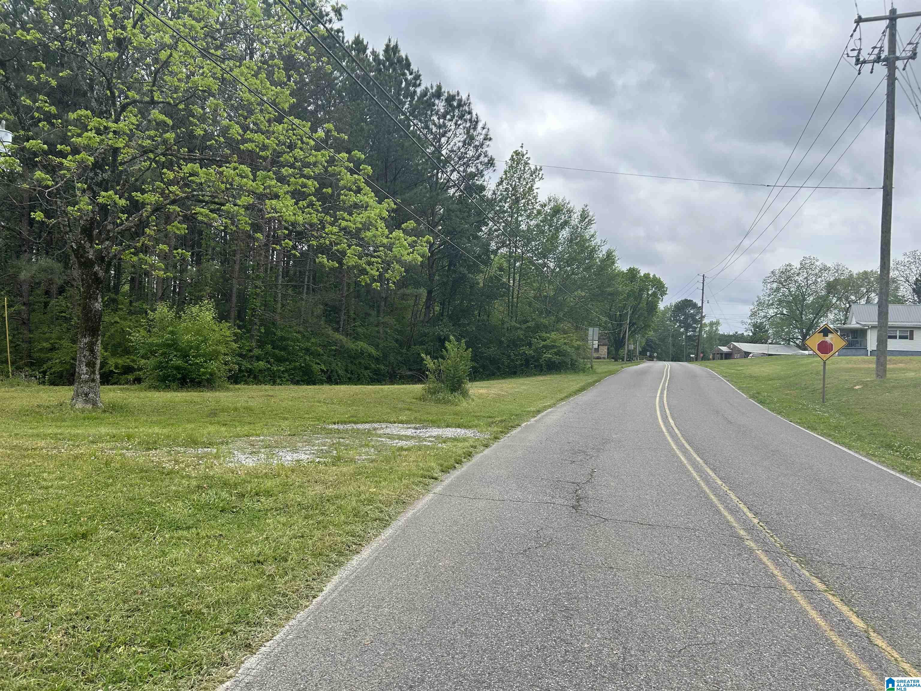 625 Dee Hendrix Road, Unit 6 9 ACRES Bessemer, AL 35023 - Photo 11 of 14