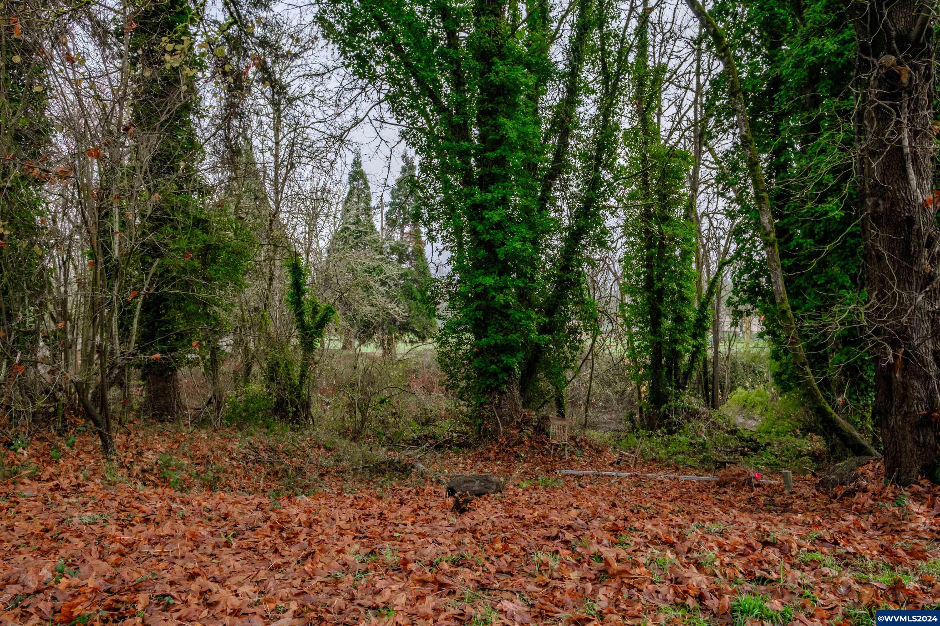 Lot 302 Cameo (behind) Road Salem, OR 97304 - Photo 6 of 31