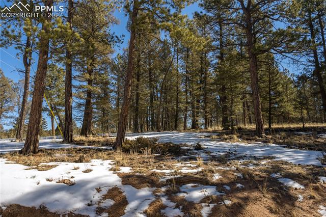 244 Tidi Road Florissant, CO 80816 - Photo 50 of 50
