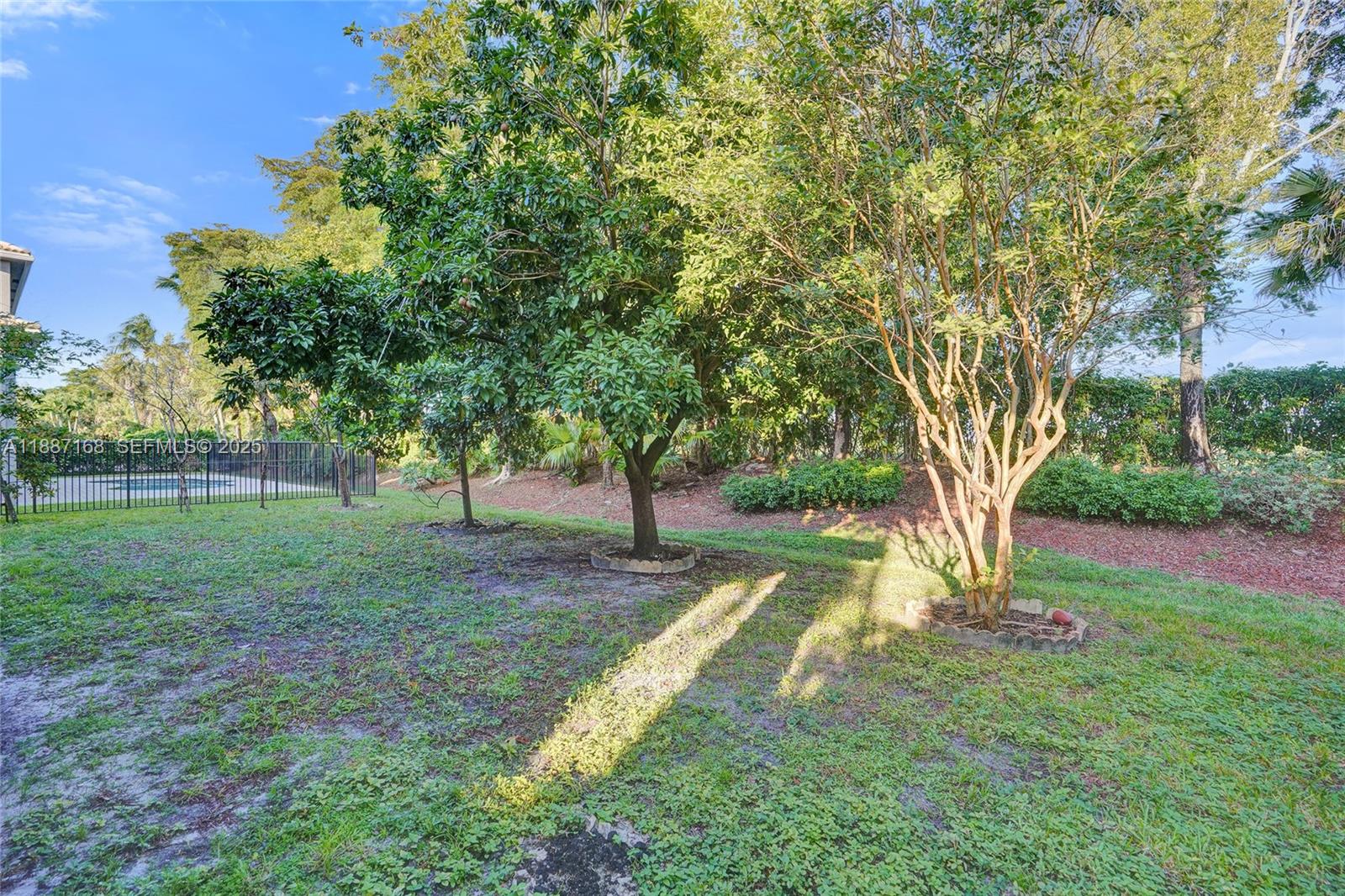 8824 Cobblestone Point Circle Boynton Beach, FL 33472 - Photo 39 of 53 a view of a yard with tree s