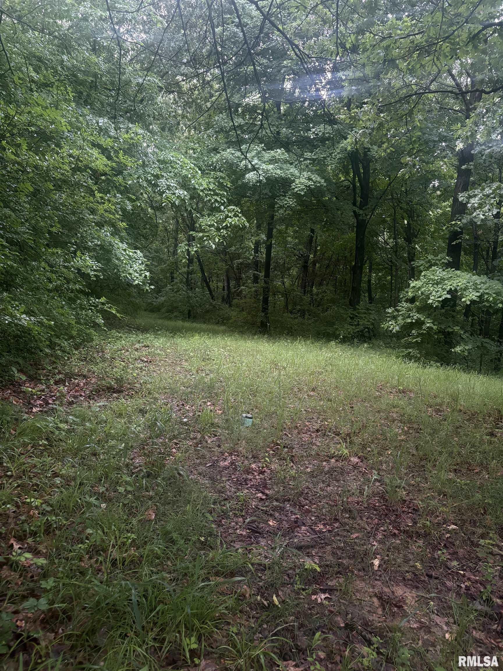 North Ivy Lake Road Chillicothe, IL 61523 - Photo 26 of 27