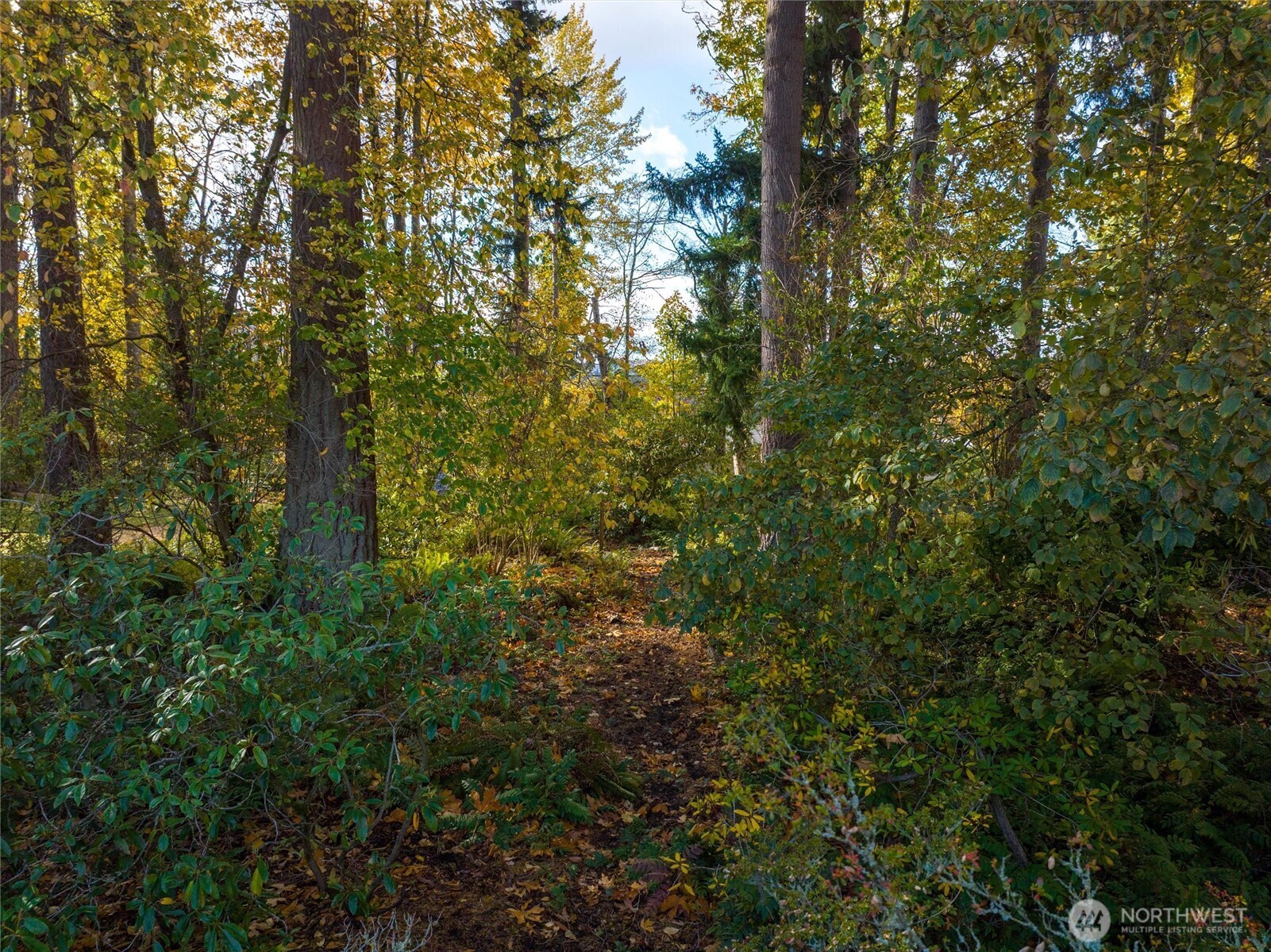 2609 Vining Street Bellingham, WA 98226 - Photo 37 of 40