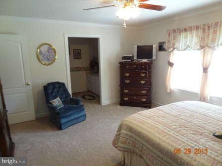 5171 Courtneys Corner Road Sumerduck, VA 22742 - Photo 14 of 28 Bedroom (Master)