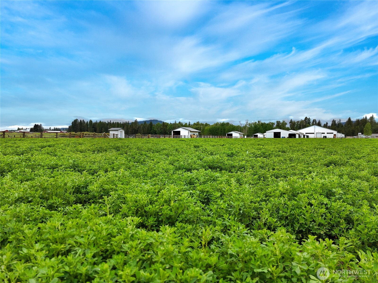 4988 Wallbridge Road Deer Park, WA 99006 - Photo 3 of 27