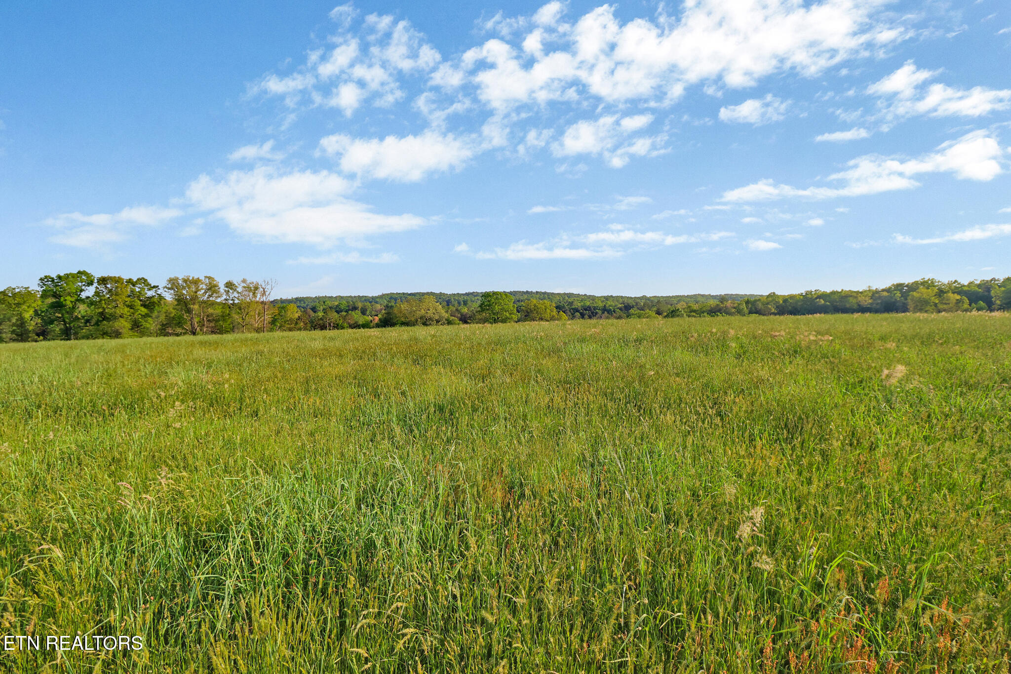 12499 Highway 68 Grandview, TN 37337 - Photo 13 of 29 if1a0744-if1a0748