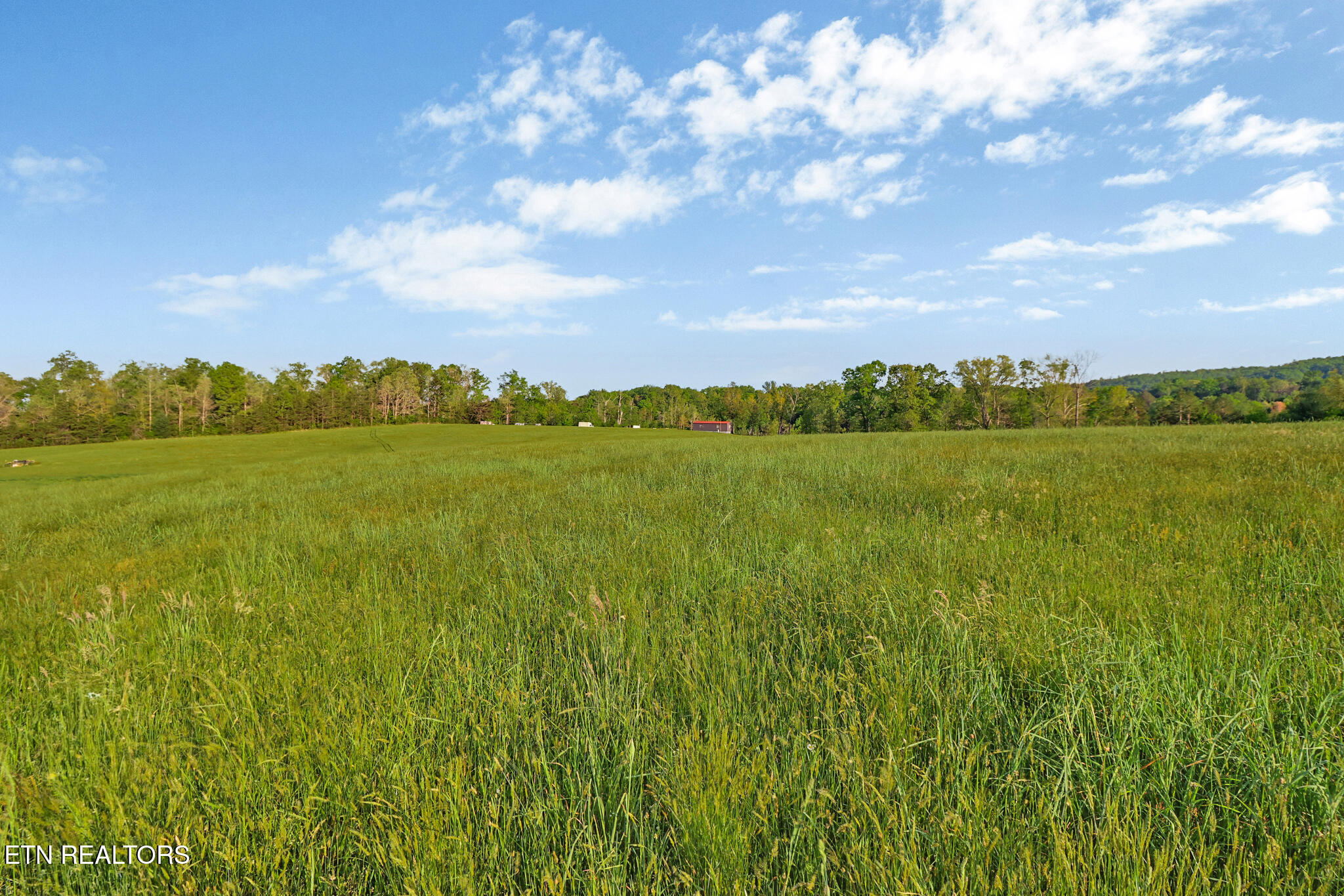 12499 Highway 68 Grandview, TN 37337 - Photo 14 of 29 if1a0749-if1a0753