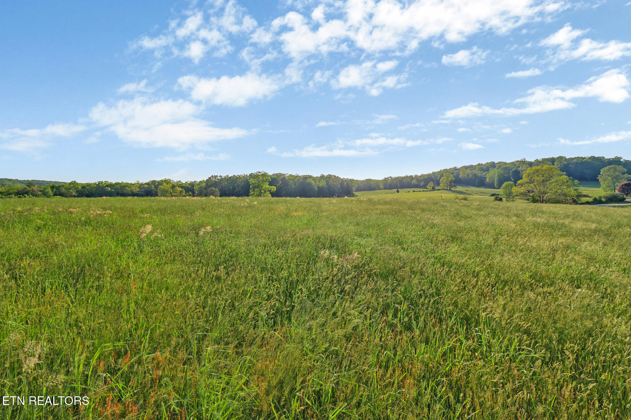 12499 Highway 68 Grandview, TN 37337 - Photo 15 of 29 if1a0754-if1a0758