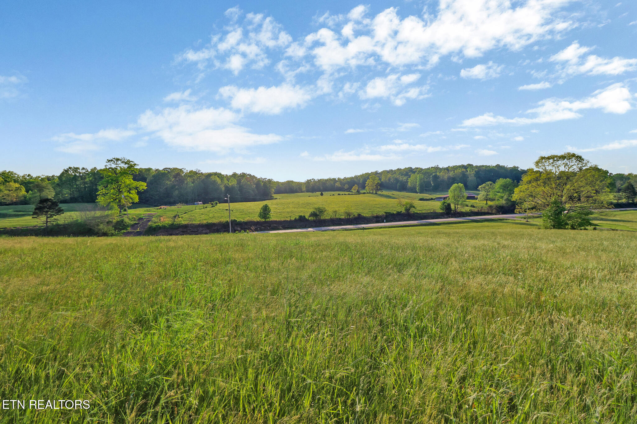 12499 Highway 68 Grandview, TN 37337 - Photo 16 of 29 if1a0764-if1a0768