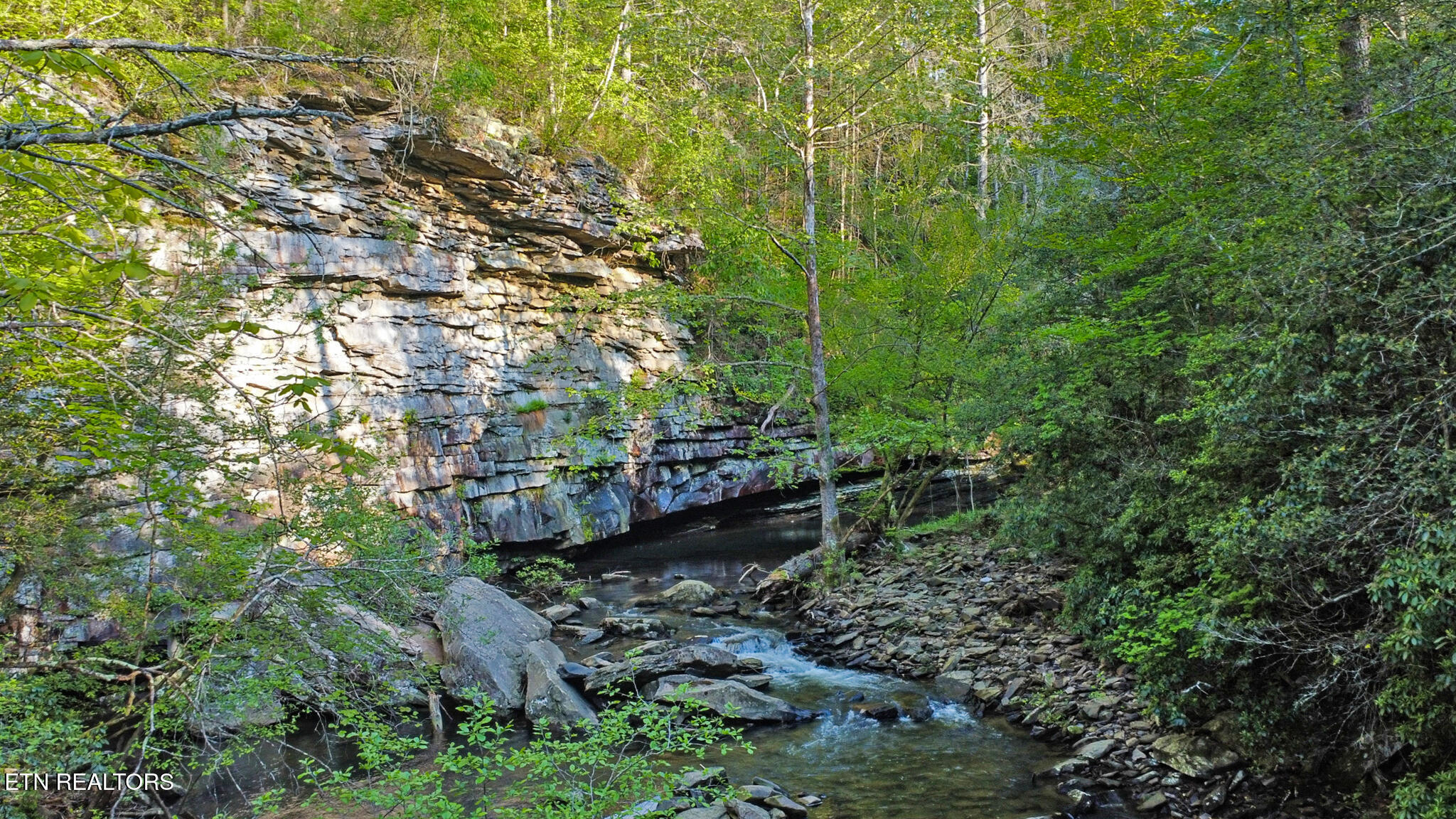 12499 Highway 68 Grandview, TN 37337 - Photo 18 of 29 dji_0714-dji_0716