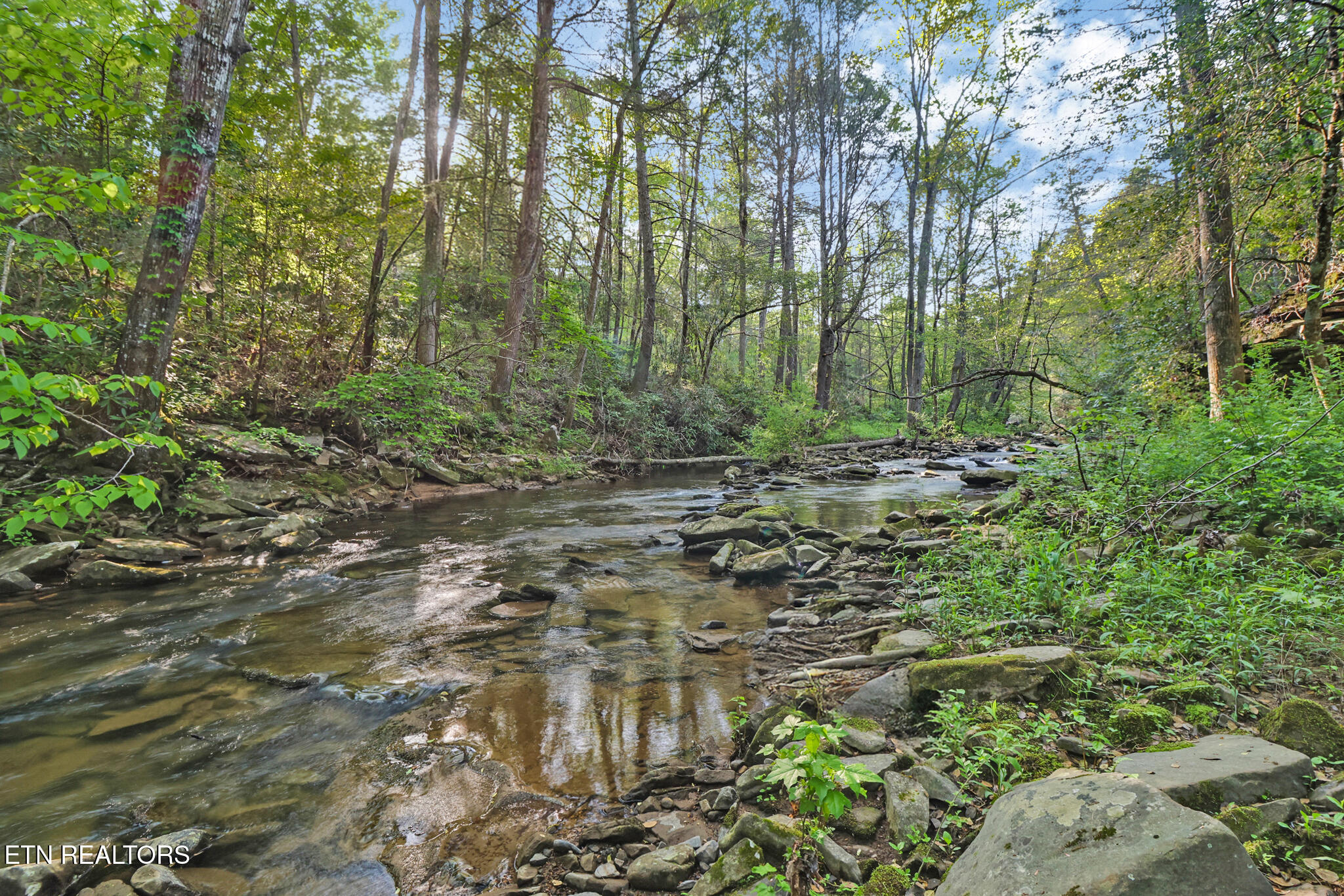 12499 Highway 68 Grandview, TN 37337 - Photo 21 of 29 if1a0666-if1a0670