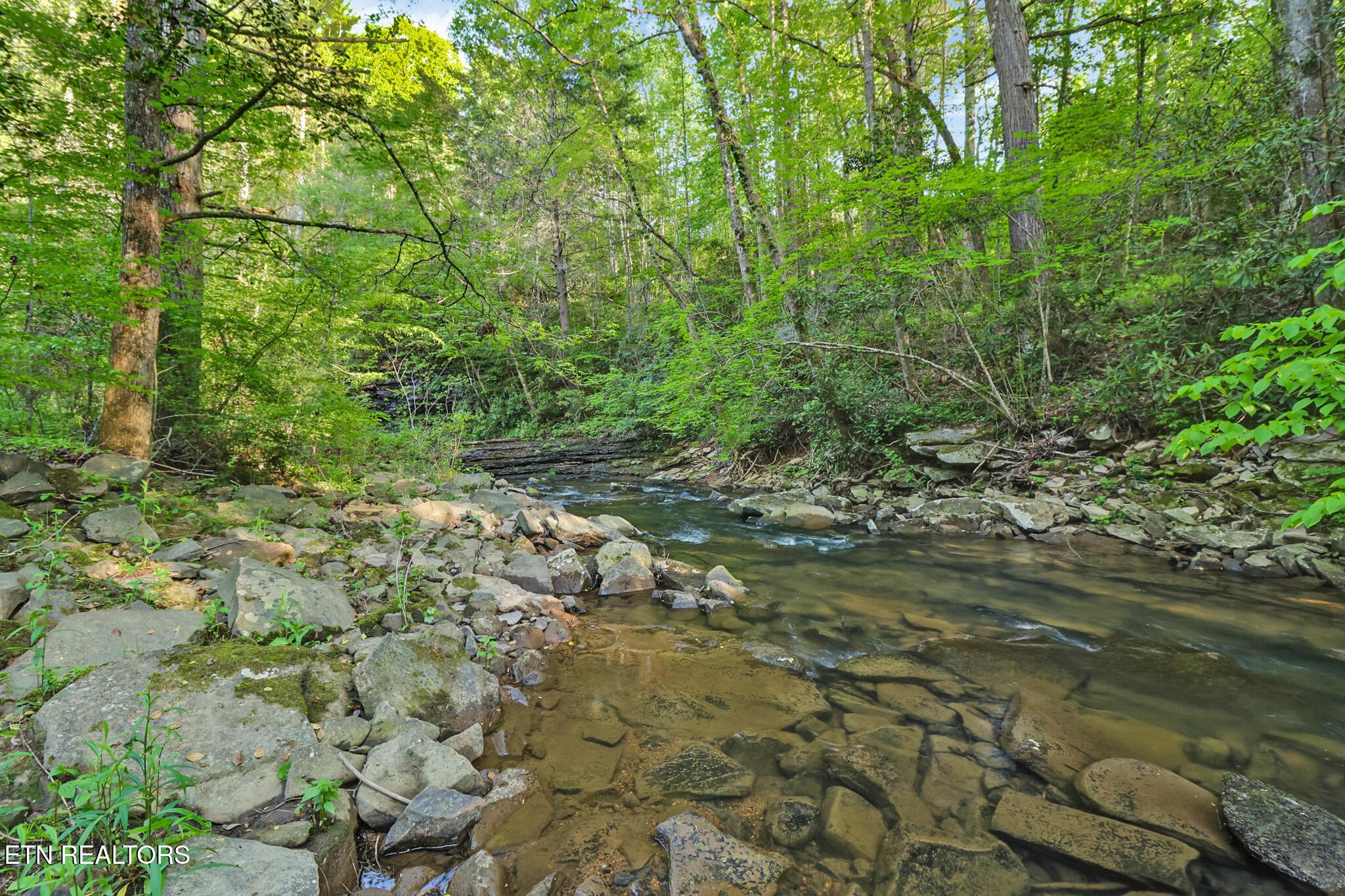 12499 Highway 68 Grandview, TN 37337 - Photo 22 of 29 if1a0671-if1a0675