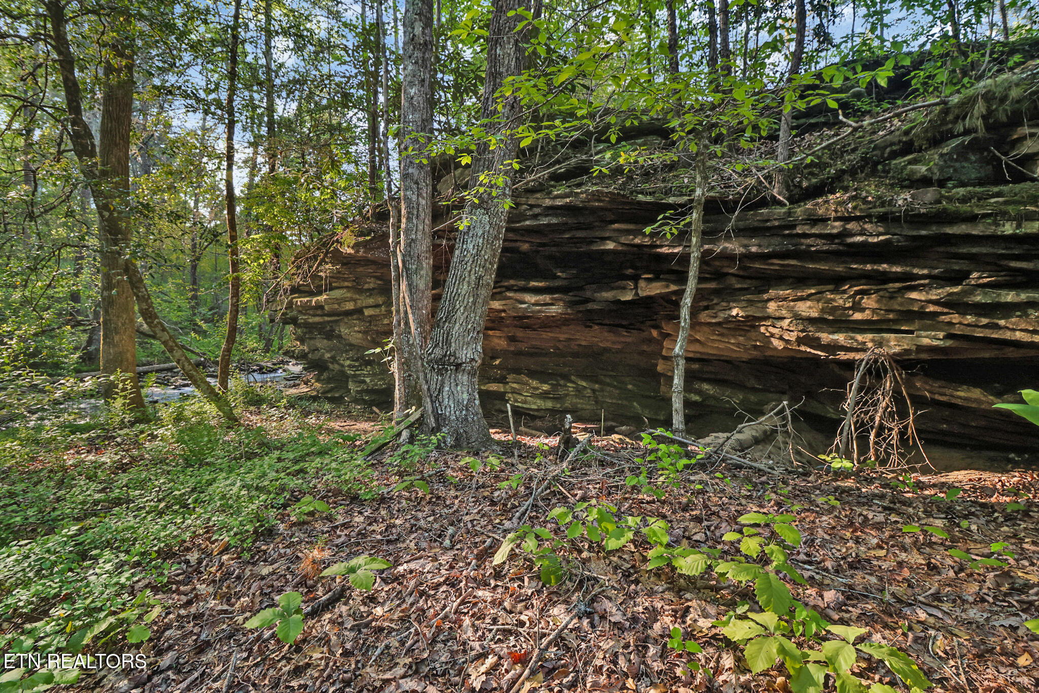 12499 Highway 68 Grandview, TN 37337 - Photo 23 of 29 if1a0676-if1a0680