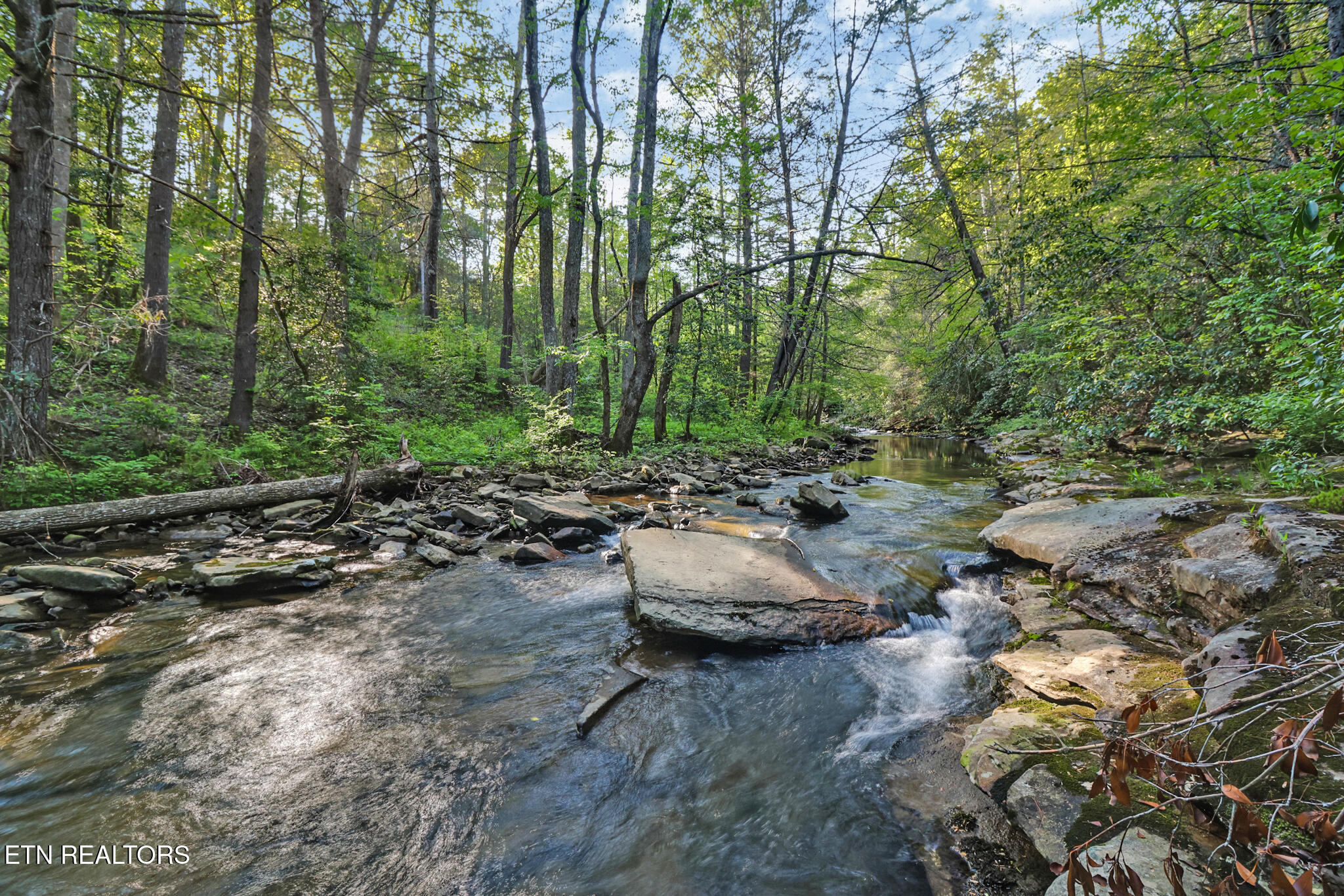 12499 Highway 68 Grandview, TN 37337 - Photo 25 of 29 if1a0686-if1a0690