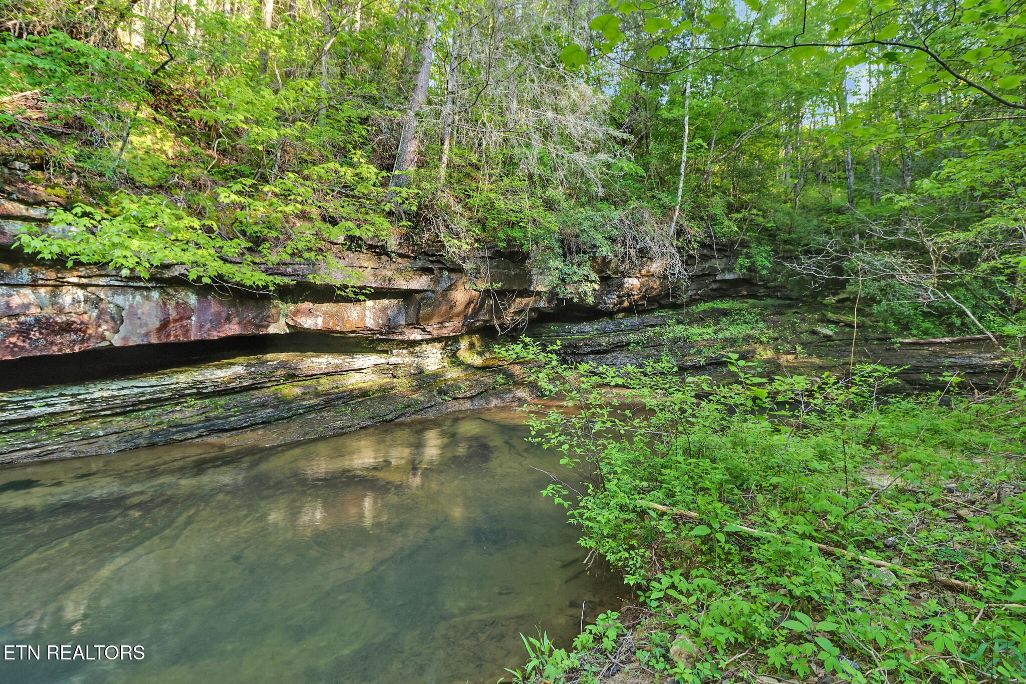 12499 Highway 68 Grandview, TN 37337 - Photo 26 of 29 if1a0691-if1a0695