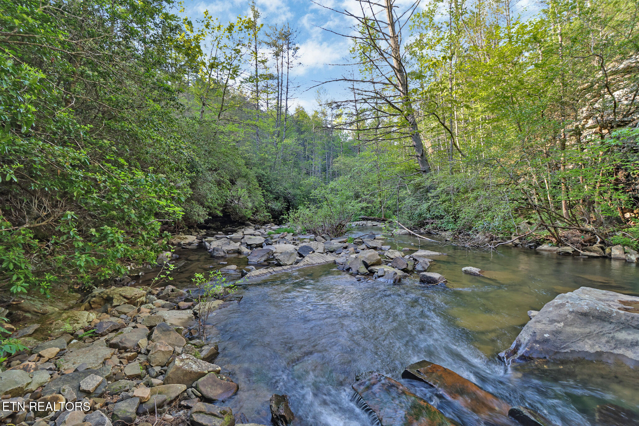 12499 Highway 68 Grandview, TN 37337 - Photo 28 of 29 if1a0701-if1a0705