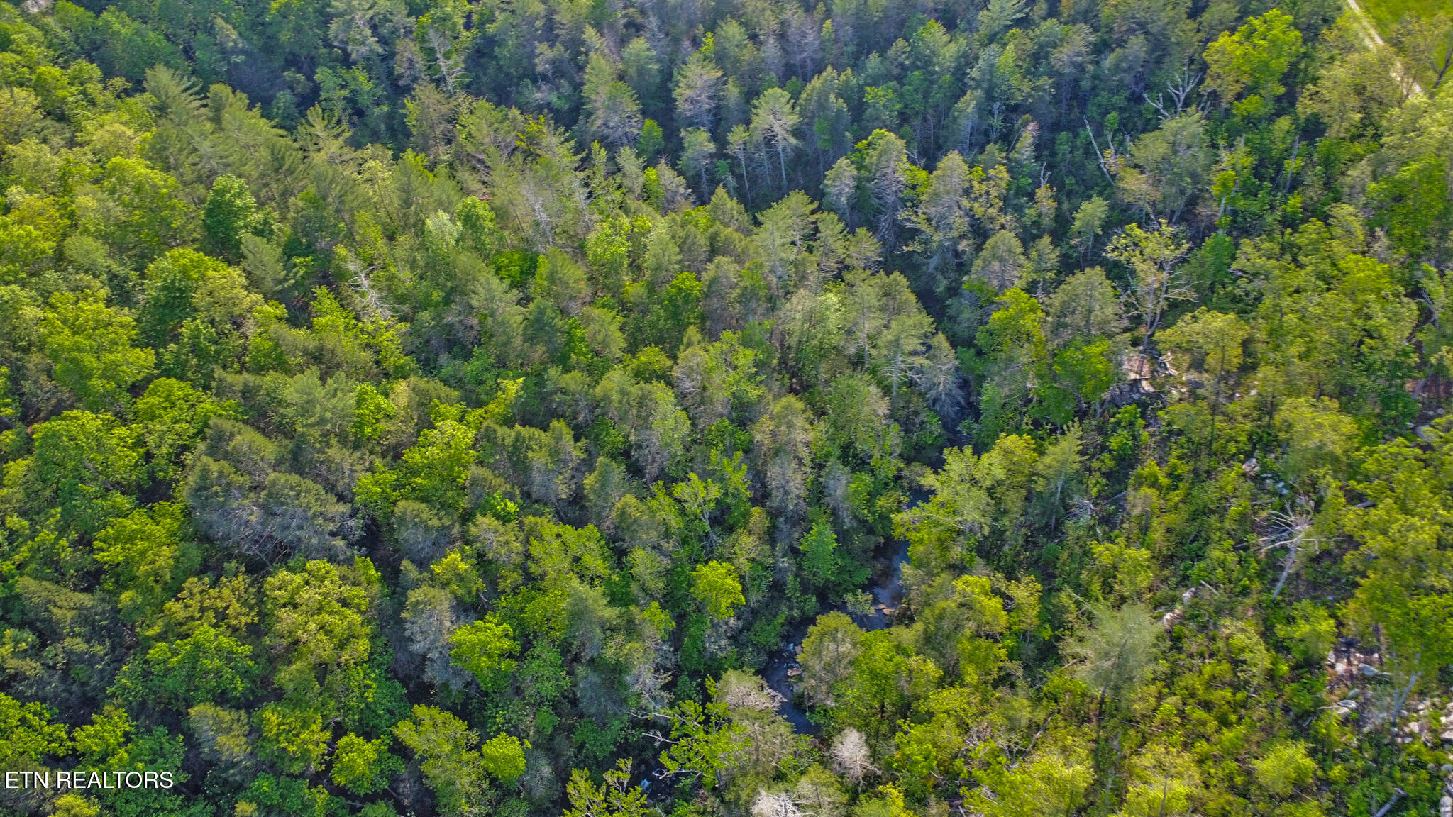 12499 Highway 68 Grandview, TN 37337 - Photo 9 of 29 dji_0654-dji_0656