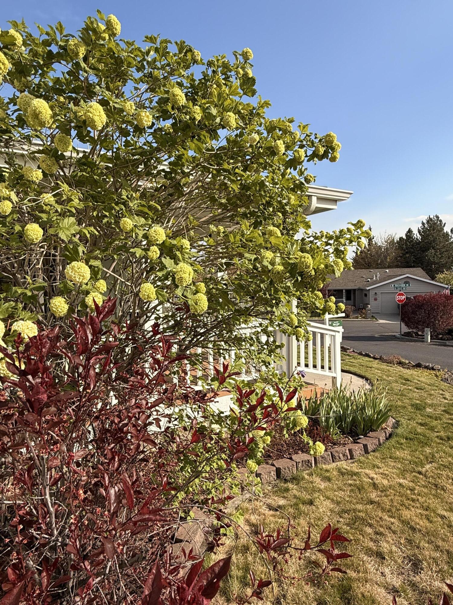 2394 Northeast Crocus Way Bend, OR 97701 - Photo 33 of 44