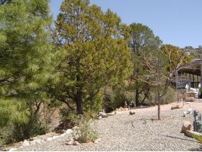 2458 River Trail Road Prescott, AZ 86301 - Photo 12 of 12 Additional Photo