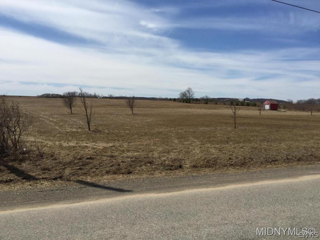 560 Cronkhite Road Danube, NY 13339 - Photo 1 of 1 10.3 ACRES