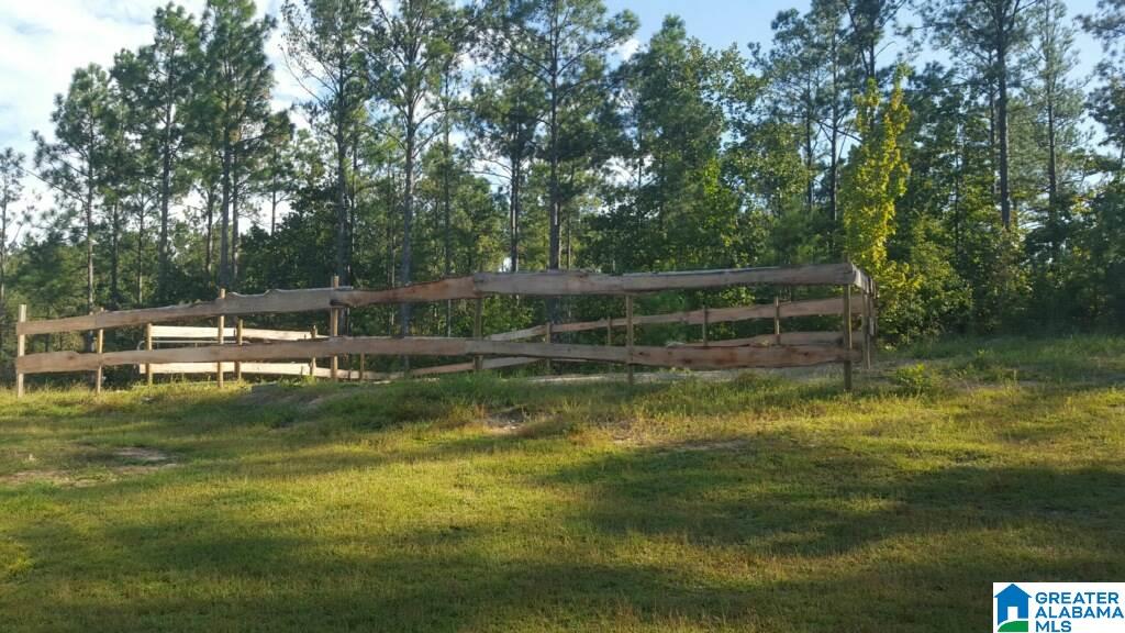 2095 Selma Road Centreville, AL 35042 - Photo 7 of 22