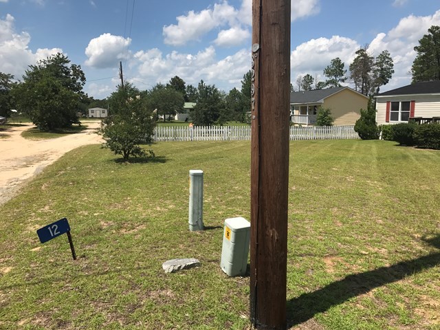 12 Whitening Road Butler, GA 31006 - Photo 2 of 12 a view of a lake