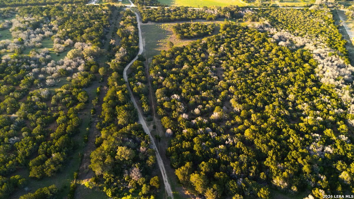 3584 Privilege Creek Road Pipe Creek, TX 78063 - Photo 11 of 44