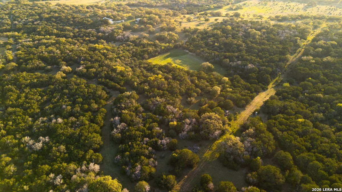 3584 Privilege Creek Road Pipe Creek, TX 78063 - Photo 14 of 44